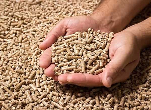 تصویر 5 از قیمت مکمل پرو بیوتیک طیور + خرید باور نکردنی